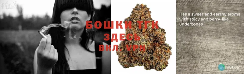 Конопля Ganja  Дигора 